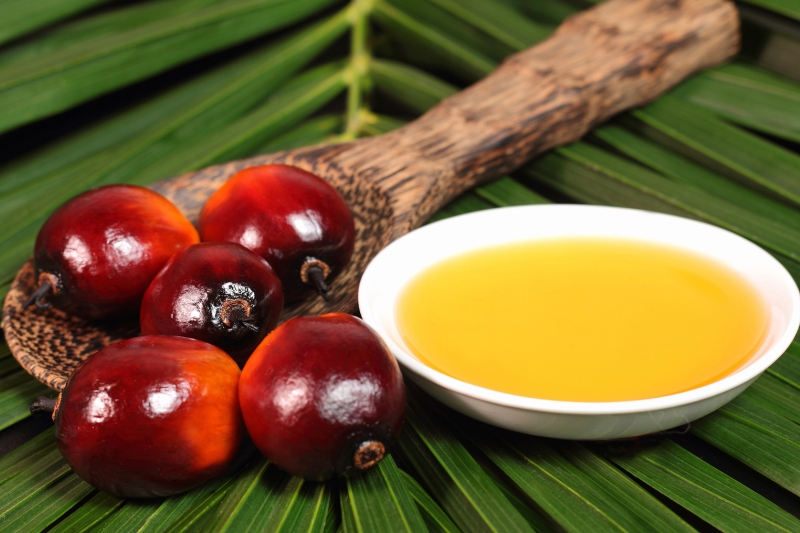 palm-oil.jpg